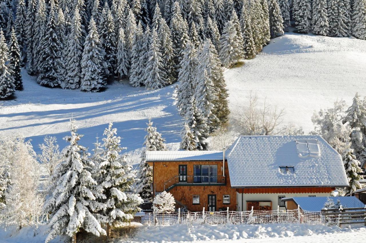 Landhaus Riesneralm Donnersbachwald Exteriér fotografie
